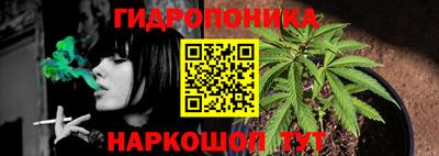 твердый Лесосибирск